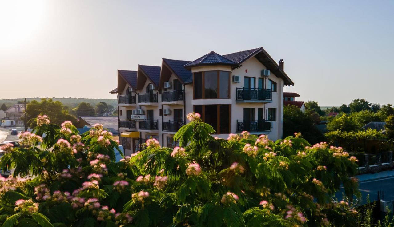 Murfatlar Casa Familia Vladoi B&B 외부 사진